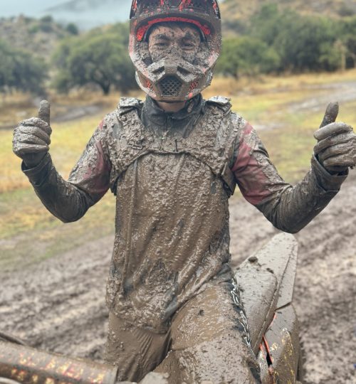 Proyectos feliz